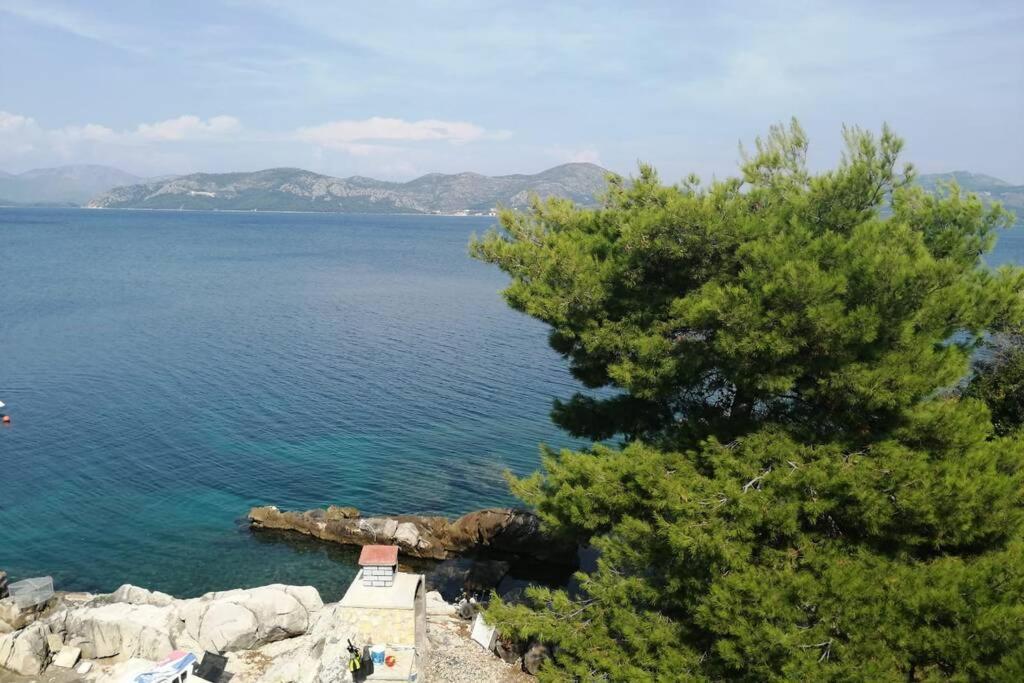 Apartment Lea - Amazing Sea View Сресер Екстериор снимка