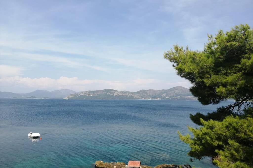 Apartment Lea - Amazing Sea View Сресер Екстериор снимка